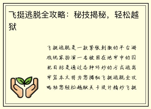 飞挺逃脱全攻略：秘技揭秘，轻松越狱