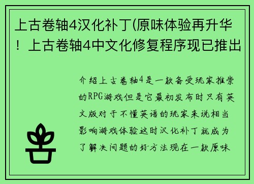 上古卷轴4汉化补丁(原味体验再升华！上古卷轴4中文化修复程序现已推出)